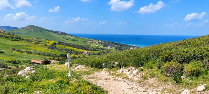 Terrain à vendre Ain Berda Bizerte